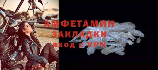 прущие грибы Вуктыл