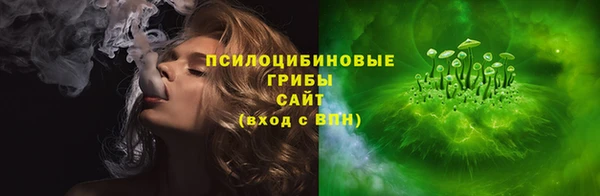 Альфа ПВП Кукмор