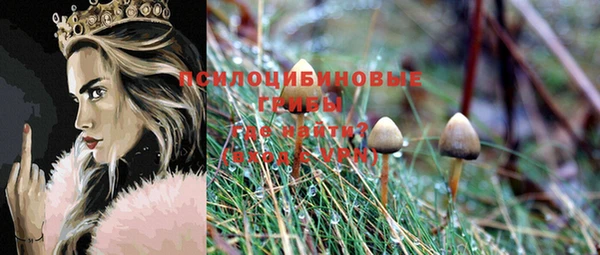 Альфа ПВП Кукмор