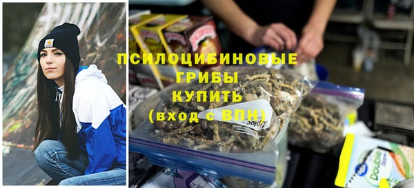Альфа ПВП Всеволожск