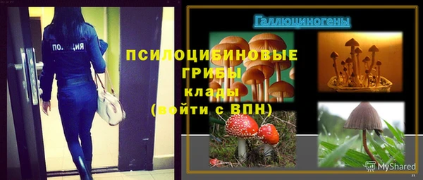 ПСИЛОЦИБИНОВЫЕ ГРИБЫ Куйбышев