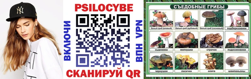 OMG сайт  Заполярный  Псилоцибиновые грибы Psilocybine cubensis 